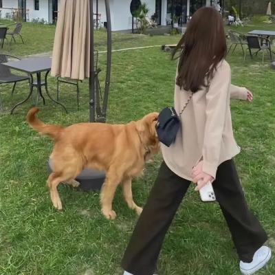 在他的一生中